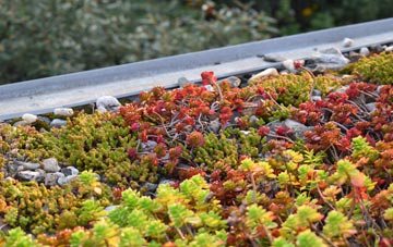 the cost of Martinstown Or Winterbourne St Martin green roof installation