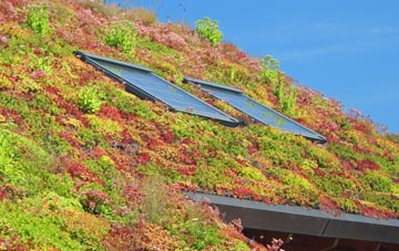 Martinstown Or Winterbourne St Martin living roof systems