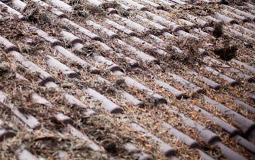 Martinstown Or Winterbourne St Martin roof cleaning companies