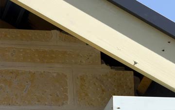 soffit repair Martinstown Or Winterbourne St Martin