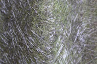 Martinstown Or Winterbourne St Martin fibreglass roof work